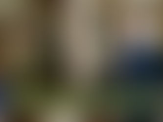 Il "Mismatch" del Congedo: Quando l'abito civile stringe sull'anima militare ( dr Procida Dario)