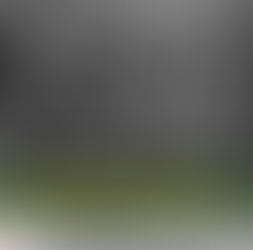 REATO ASSOCIATIVO E ASSOCIAZIONE DI TIPO MAFIOSO ART. 416 E 416 BIS C.P. (dr.ssa Lidia De Giacomo)