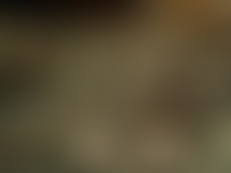 Rapporto intelligence di Taiwan: la Cina punta ai nostri chip per eludere il contenimento tecnologico globale