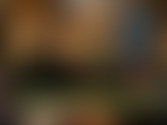 IL RUOLO DELLA DONNA NELLA MAFIA (Dr.ssa POLLONI ERICA)