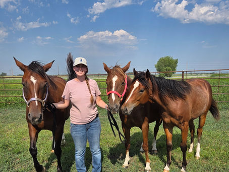 Welcome to Shepherd’s Stable: A Dream Taking Shape