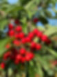IMG_2044.jpeg