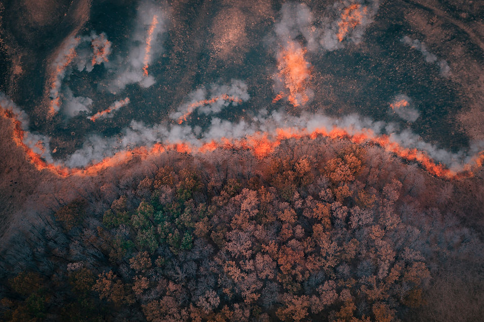 Forest Fire Aerial View.jpg