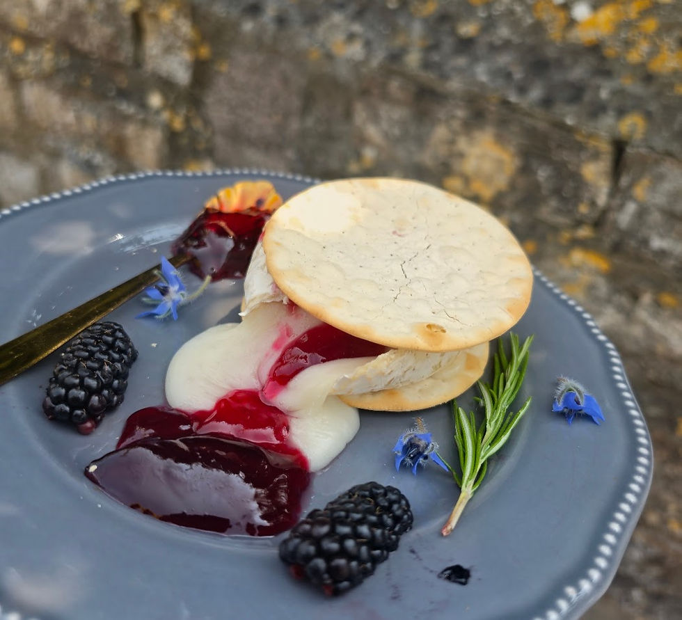 Plated dessert with crackers, cream cheese, red jelly, blackberries, rosemary, and blue flowers on a gray plate outdoors.