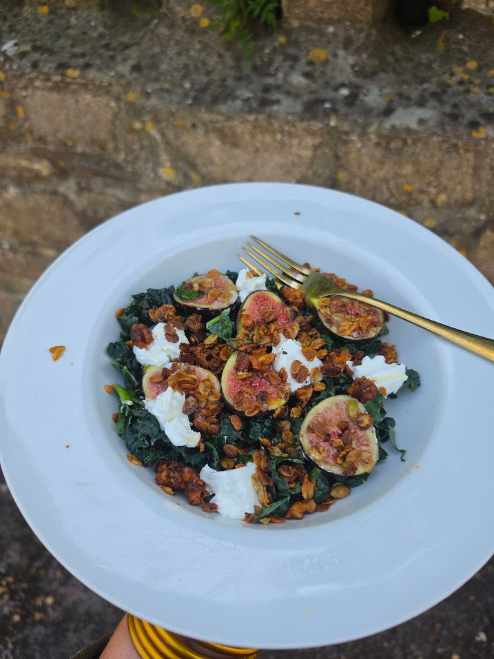 White plate of fig, greens, cheese, and granola salad with a gold fork, set outdoors on stone, fresh and rustic.