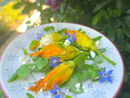 Hand holding a floral plate of stuffed squash blossoms, herbs, and blue edible flowers outdoors in warm sunlight