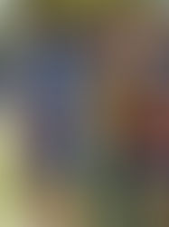 Best Youth Flag Football Camps in the Bay Area for 2026