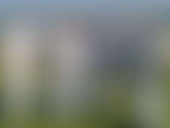 Horsley holds her nerve