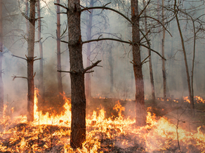 公司被炎上了，如何是好？
