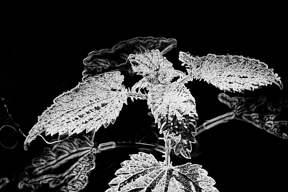 Capture d’écran 2026-01-08 à 02.34.13.png