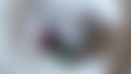 Flourless Chocolate Cake