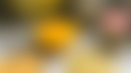 Five Favorite Salad Dressings