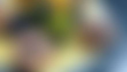 Brown Butter Sea Scallops with a Meyer Lemon Sauce & Pistachio-Fennel Gremolata