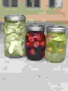 Quick Pickles