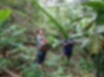 it gets hot in the jungle