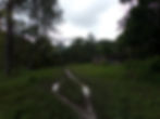 The Farm