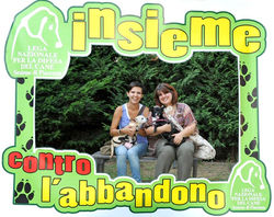 11027479_879732765398714_3207205025499241849_n