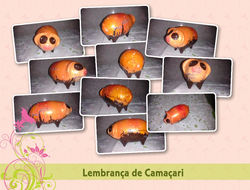 LEMBRANÇA DE CAMAÇARI