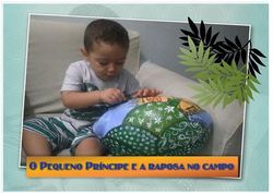 O_PEQUENO_PRÍNCIPE_E_A_RAPOSA_NO_CAMPO