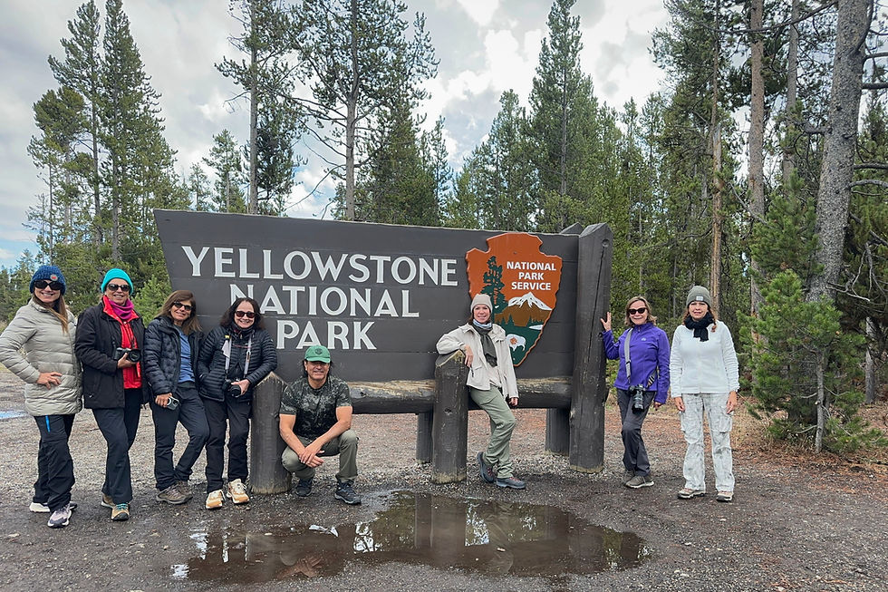 2025 Yellowstone National Park
