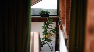 Renovation Mtatsminda