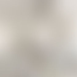 What Should You Know Before Starting a Renovation?