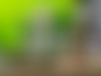 Omakase鮨料理と器演出