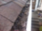 Gutter Cleaning - Before