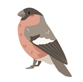 bullfinch.png