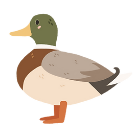 mallard.png