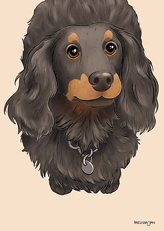 pet portrait niall.jpg