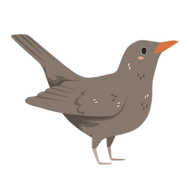 blackbird.png