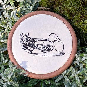 Mallard Duck_edited.jpg