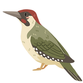 green woodpecker.png