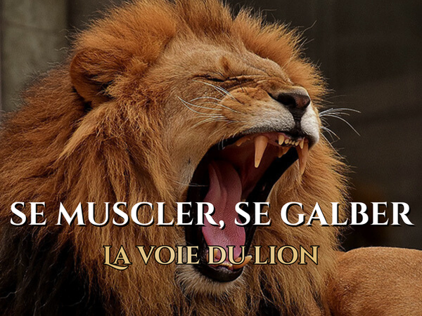 Programme lion (1).png