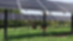 AgriPV_Bovin_West Central Research and Outreach Center, University of Minnesota.jpeg