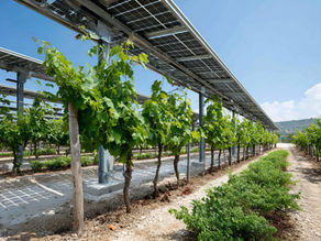 Le solaire, première source d’électricité en France et en Europe