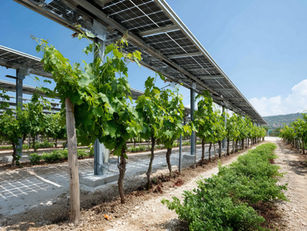 Le solaire, première source d’électricité en France et en Europe