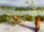 Eklingji Botanical Series
