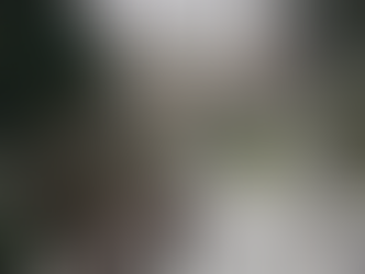 Rue du Percke à Uccle: constat de danger