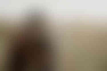 snuggly toddlers in cozy warm outfit for winter family photos