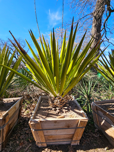 yucca様_ご確認ページ yucca様_ご確認ページ Yucca - 10