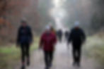 nordic-walking-kurs-klassisch-viernheim-technik.jpg