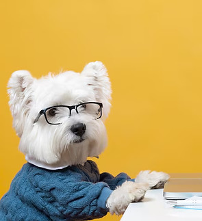 perro compu_edited.jpg