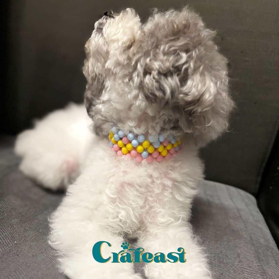 Thumbnail: Sweetie Cotton Pet Collar