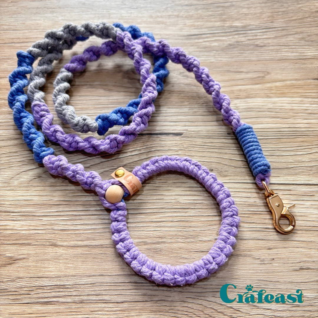 Purple Blue Leash