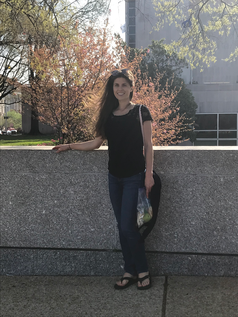 Washington, D.C. in the springtime