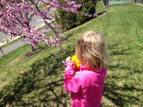 Fun Day Trips for Families This Spring in NOVA (Northern Virginia) Spring To Do: Northern Virginia Edition