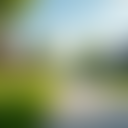 Housing Market Trends Northern Virginia: Understand the Northern Virginia Housing Market