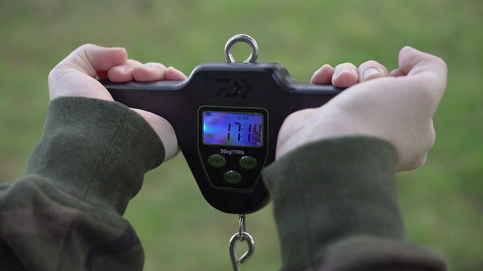 Miniaturbild: DIGITAL T-BAR SCALES